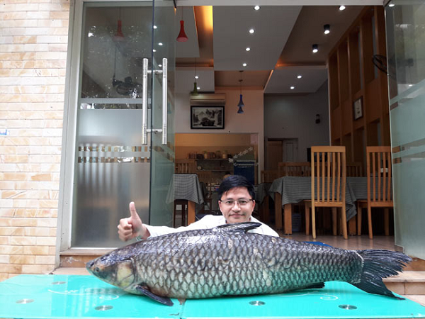 Vào tháng 5/2017, một cần thủ ở Hòa Bình đã bất ngờ câu được con cá trắm đen nặng 41kg ở lòng hồ Sông Đà thuộc xã Thung Lai, huyện Cao Phong, tỉnh Hòa Bình.