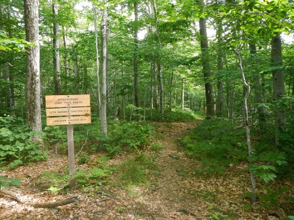 Tam giác Bennington là một khu vực tương đối rộng thuộc bang Vermont, Mỹ, mà nổi bật trong đó là "thị trấn ma" Glastenbury, nơi từng là cộng đồng khai thác gỗ nhỏ tập trung trên ngọn núi cùng tên ở tây nam Vermont.
