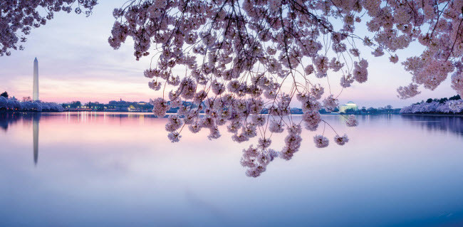 8. Washington, D.C, Mỹ Thủ đô của Mỹ có nhiều địa điểm du lịch miễn phí như các đài kỷ niệm quốc gia, triểm lãm chân dung quốc gia, bảo tàng và vườn thú Smithsonian. Giao thông công cộng ở đây cũng rất thuận tiện và giá vé tương đối rẻ. Tới Washington vào mùa xuân, du khách có cơ hội chiêm ngưỡng hoa anh đào nở tuyệt đẹp.