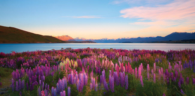 9. New Zealand Theo CheapAir.com, tỷ giá thấp của tiền New Zealand khiến quốc gia này trở thành điểm du lịch lý tưởng đối với du khách ba lô. Phong cảnh thiên nhiên đẹp và hùng vĩ, thích hợp với những người ưa khám phá và ngắm cảnh.