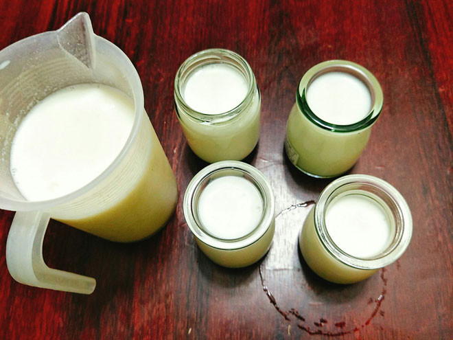 Bước 3: Múc sữa vào 1 cái ca có miệng phễu sau đó rót sữa vào các hũ đựng sữa chua và đậy nắp lại. Lưu ý nhỏ: hũ đựng sữa chua bạn nên tiệt trùng với nước sôi rồi lau khô mới đem sử dụng.