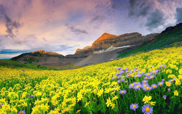 Vườn quốc gia Valley of Flowers, Ấn Độ Đây là công viên quốc gia lớn nhất ở dãy Himalaya. Vườn quốc gia này được thành lập vào năm 1982. Diện tích lên tới 9 000ha, được bao quanh bởi các khu rừng đẹp và thác nước hung vĩ. Người dân địa phương tin rằng, có những nàng tiên thực sự sống trong thung lũng và chăm sóc cho cánh đồng hoa này. Ở đây du khách còn có thể được chiêm ngưỡng các loài động vật và thực vật quý hiếm. Có hơn 500 thực vật đủ các chủng loại sinh trưởng tại vườn quốc gia này.