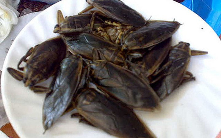 Món cà cuống hấp. (Ảnh: muivi)./.