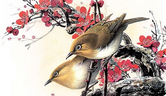 Biểu tượng chim Con người từ xưa đến nay luôn cho rằng chim là biểu tượng của nguồn cảm hứng và sự tự do. Tuy nhiên mỗi loài chim đều có phẩm chất đặc biệt riêng, như chim công khác với chim bồ câu, chim cút.