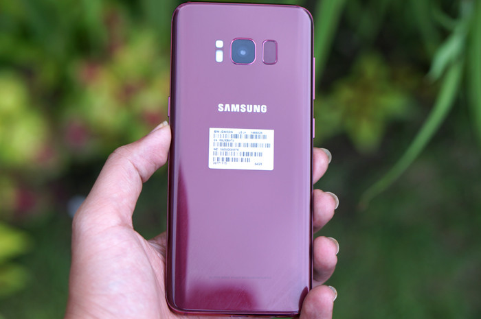 Hiện vẫn chưa rõ Samsung có ý định phân phối chính hãng phiên bản này của Galaxy S8 tại thị trường Việt Nam hay không. Ở thời điểm hiện tại, hàng xách tay là lựa chọn duy nhất của người tiêu dùng nếu muốn sở hữu chiếc điện thoại này.