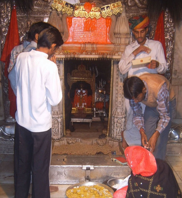 Do được xưng tụng là “thần” nên chuột ở đền Karni Mata là sinh vật linh thiêng “bất khả xâm phạm”. Ai dám làm hại chuột sẽ phải đền số vàng lớn tương đương kích cỡ của nó.