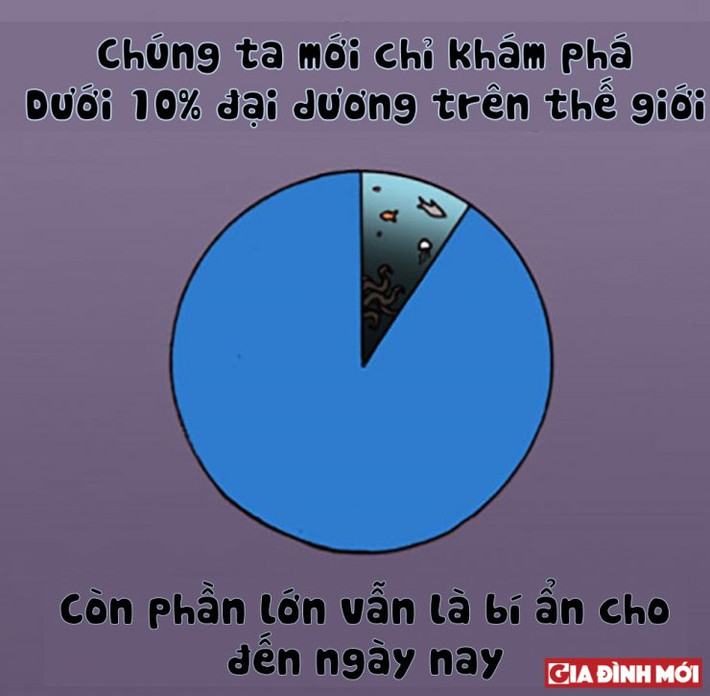 3. Những điều chúng ta biết là rất ít.