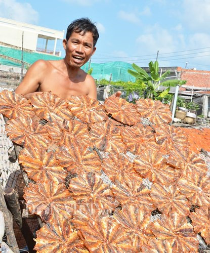 Nhân công tranh thủ xếp cá khô lên vỉ phơi để kịp nắng.