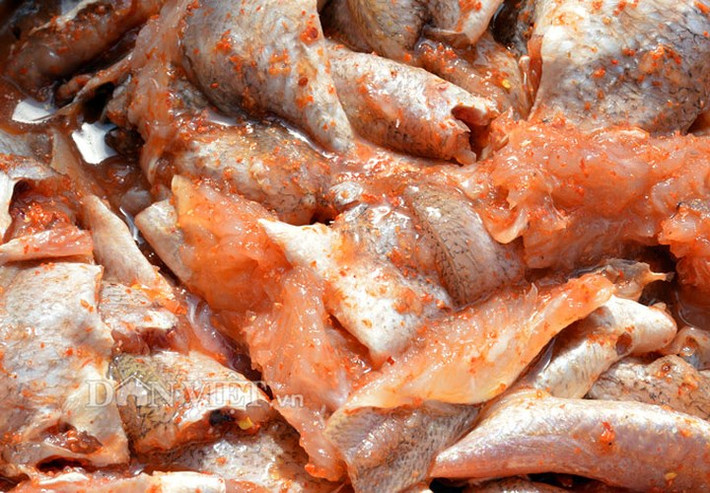 Cá đổng được ướp sẵn chờ phơi.