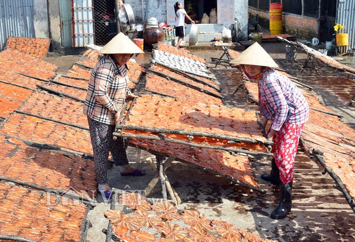 Chia sẻ với chúng tôi, anh Trần Hữu Nghị - Phó Chủ tịch Hội Nông dân thị trấn Cái Đôi Vàm, thông tin: Tại thị trấn này nghề làm cá khô là nghề truyền thống có từ lâu đời. Tại đây, nghề làm cá khô cho thu nhập khá, tập trung nhiều ở khóm 4, khóm 6 với khoảng 50 hộ làm nghề.