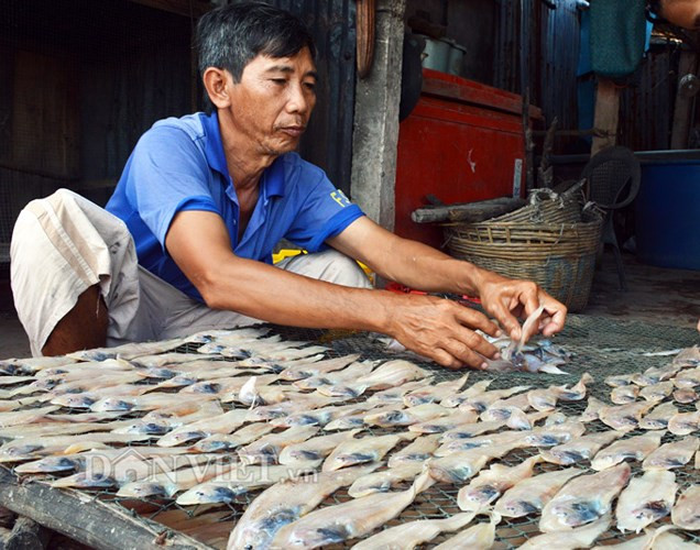 Vào những ngày này, những chuyến biển thuận lợi hơn, đồng nghĩa với việc làng khô cũng tất bật vì có nhiều cá. Mỗi ngày, các cơ sở sản xuất lớn nhỏ cho ra gần vài tấn cá khô các loại.
