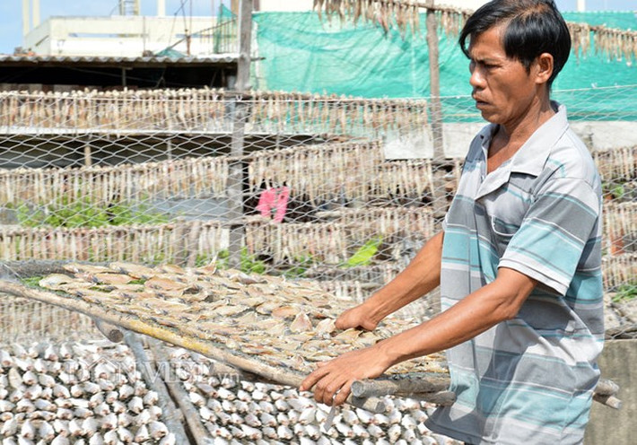 Ông Nguyễn Văn Chẵn (khóm 4, thị trấn Cái Đôi Vàm), cho biết: Gia đình tôi đã theo nghề làm khô tại đây gần 20 năm. Mùa này là lúc làng cá khô biển hoạt động mạnh nhất vì ai cũng tranh thủ nguồn hàng để cung ứng vào dịp Tết.