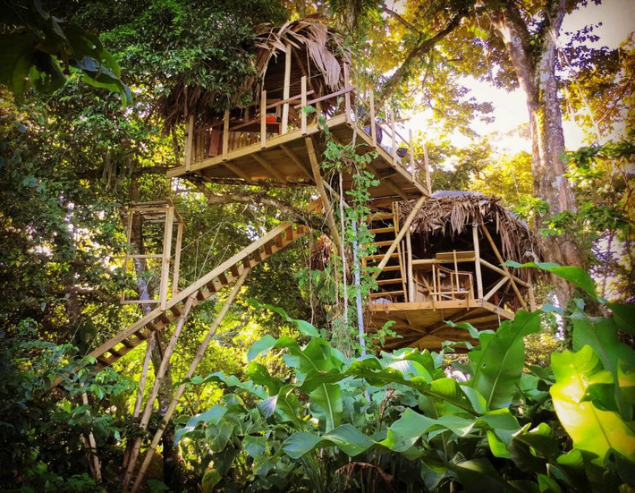 Cặp vợ chồng Todd và Diane, sống ở Panama, đã dựng một ngôi nhà trên cây giữa rừng, cách biển chỉ 10 phút đi bộ. Khi ở trong ngôi nhà này, khách có thể ngắm rừng rậm, chim, khỉ, ếch cây và nhiều sinh vật khác.