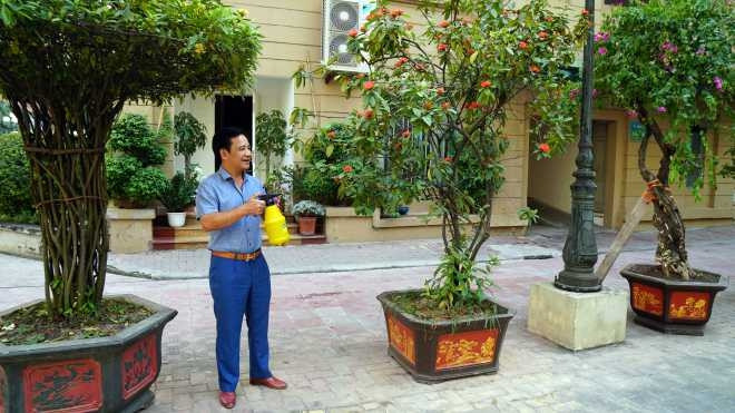 Phía trước nhà là dàn cây xanh được gia đình anh chăm sóc hàng hàng ngày mỗi khi có thời gian rảnh rỗi.