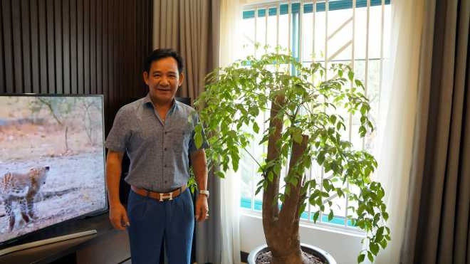 Danh hài Quang Tèo cũng khá chú ý tới khoảng xanh trong không gian sống khi bày một chậu cây lớn trong nhà được anh chăm chút, cắt tỉa thường xuyên.