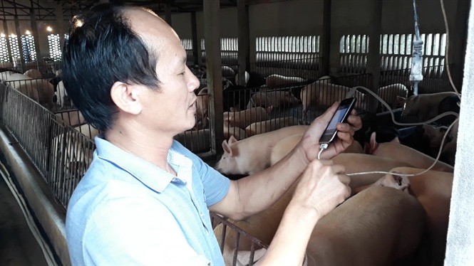 Cho lợn nghe nhạc để thư giãn, giảm stress. Vị trại chủ này tự hào rằng, thịt lợn anh tạo ra thuộc loại ngon nhất tỉnh, bởi chúng được nuôi từ 100% thức ăn tự nhiên. Mỗi lứa lợn kéo dài 6-7 tháng thay vì vỗ béo cấp tốc 3-4 tháng đã xuất chuồng như các trang trại lợn công nghiệp khác. Lợn nuôi bằng thảo dược có bì dầy và giòn; màu thịt đỏ tươi do không bị stress. Khi luộc chín, nước vẫn trong vì không tồn dư tạp chất, thịt chắc, ngọt thơm đặc trưng. Anh Thục bảo, người Mỹ, người châu Âu... có thể nghĩ ra những “cỗ máy” khổng lồ để sản xuất thịt với tốc độ tăng trọng nhanh chóng mặt, giá rẻ mạt. Nhưng với tôi, đó là... miếng thịt nhân tạo, được nhào nặn bởi máy móc và các nguyên liệu kích thích sinh trưởng phi tự nhiên. Ngày nay, chúng ta đã phải trả giá đắt vì điều đó. Hiện tượng kháng kháng sinh trên cơ thể người ngày càng phổ biến trên thế giới, cướp đi sinh mạng của khoảng 700.000 người mỗi năm. Thực phẩm tồn dư kháng sinh góp phần tạo ra bi kịch đó. "2 năm trước, thịt lợn thảo dược của tôi và thịt lợn công nghiệp có giá bằng nhau (do thị trường chưa tin dùng - PV). Hôm nay, thịt lợn thảo dược đang bán cao hơn thịt lợn công nghiệp 20%. Và, tôi khẳng định chỉ 5 năm sau, thịt lợn thảo dược của tôi sẽ có giá cao gấp đôi, gấp 3 lần thịt lợn công nghiệp”, anh Thục nói. Con người đang cần thực phẩm sạch, an toàn hơn bao giờ hết. Người Nhật đã nhìn thấy điều đó từ rất sớm. Họ không bị cuốn theo cuộc chiến giảm giá, tăng sản lượng trên thương trường. Thay vào đó, sản xuất sản phẩm độc đáo, chất lượng cao và thân thiện môi trường mới tạo ra phép lạ, giúp nông nghiệp Nhật Bản tăng trưởng vượt bậc. Vành đai xanh an toàn dịch bệnh Để tạo ra môi trường chăn nuôi không thuốc kháng sinh, ngoài sử dụng thảo dược để phòng chống bệnh, anh Thực đã thiết lập một vành đai xanh an toàn dịch bệnh xung quanh chuồng trại với ao cá và khu vườn trồng “kỳ hoa dị thảo” gồm vô số giỏ phong lan rừng, hoa hồng nhung, đinh lăng, bưởi Diễn… Bởi vậy, người ta ví trại lợn Hiền Thục giống như một công viên sinh thái, ngăn ngừa mọi dịch bệnh hại nguy hiểm “vô phương cứu chữa” như tai xanh, lở mồm long móng… Đây cũng là một trong 5 mô hình chăn nuôi trên toàn quốc được ứng dụng công nghệ xử lý nước thải phân tán DEWATS của Viện Khoa học Thủy lợi Việt Nam (Bộ NN-PTNT), sử dụng liên hoàn hệ thống bể tự hoại, hầm biogas, bể lọc/phản ứng kỵ khí, bãi lọc ngang trồng cây (dong riềng)… Bởi vậy, dòng nước cuối cùng sau khi xử lý rất trong, đảm bảo tiêu chuẩn nước thải chăn nuôi ra môi trường, có thể tái sử dụng để tắm cho vật nuôi.