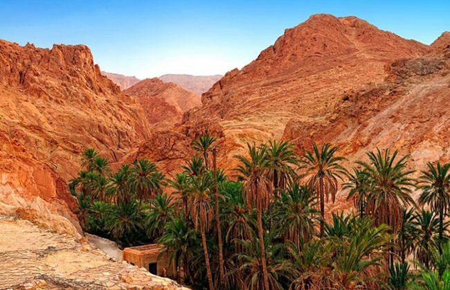 Núi Chebika, Tunisia: Chebika là một thị trấn ốc đảo nhỏ nằm trên núi Djebel el Negueb. Thị trấn này luôn thu hút du khách với các cuộc phiêu lưu thú vị, khung cảnh đẹp của ốc đảo trên núi và cơ hội thưởng thức kỳ nghỉ châu Phi đích thực và kỳ diệu.