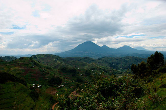 Dãy núi Virunga ở Uganda: Uganda là một địa điểm thiên nhiên tuyệt vời mang vẻ đẹp đặc trưng với hệ động vật hoang dã, đồi núi và cảnh quan hùng vĩ. Dãy núi Virunga ở Uganda nằm ở Kisoro và bao gồm dãy núi Sabinyo, Mhaginga và Muhabura.