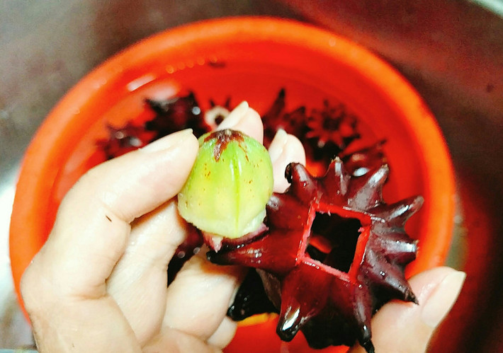 Dùng dao mũi nhọn lách xung quanh phần cuống hoa sau đó lấy ngón tay đẩy phần nhụy hoa ra là được. Nhụy hoa có thể đem phơi khô để hãm lấy nước uống nhé.