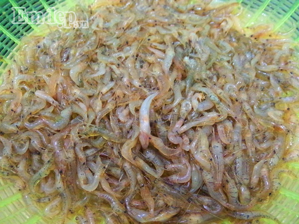 Cách làm hạt nêm từ tôm như sau: Bước 1: Tôm đồng các bạn mua về rửa sạch không cần phải cắt râu, chỉ cần nhặt sạch sạn, sau đó cho ra rổ để ráo nước. Mình chọn cách rang tôm bằng chảo nên mình chọn tôm đồng nhỏ để rang cho nhanh giòn.