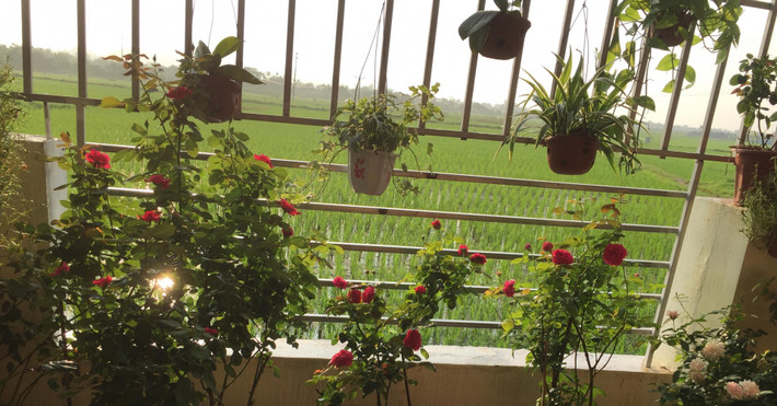 Chị Tú Lâm hiện đang sinh sống và làm việc ở Hải Phòng. Mặc dù bận rộn với công việc kinh doanh, cộng thêm việc chăm sóc con cái, gia đình nhưng chị Tú Lâm vẫn dành thời gian, ưu tiên đặc biệt cho niềm đam mê của mình, đam mê trồng hồng.