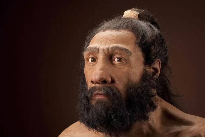 Tuy nhiên, cuộc sống của Neanderthals không kéo dài mãi mãi. Khoảng 30.000 năm trước, loài này đã tuyệt chủng. Nguyên nhân chính của việc tuyệt chủng này vẫn chưa được xác định chính xác, nhưng có thể liên quan đến sự cạnh tranh với Homo sapiens, biến đổi môi trường và yếu tố khác.