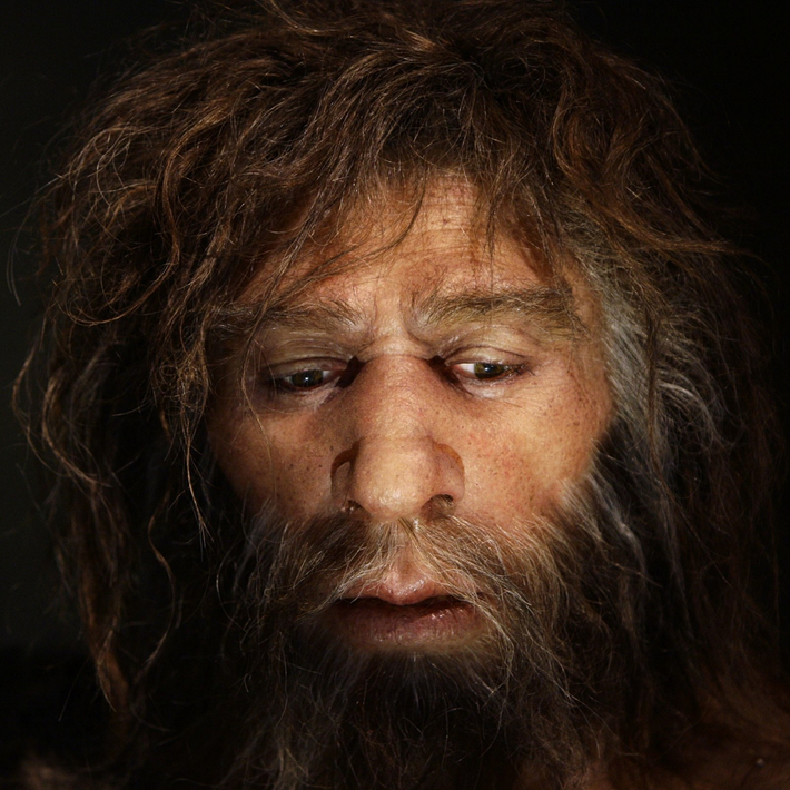 Sự giao thoa dị chủng cũng đã diễn ra giữa Neanderthals và Homo sapiens. Dữ liệu di truyền cho thấy một phần DNA của người Neanderthal vẫn tồn tại trong gen của một số người hiện đại. Đặc biệt, khu vực Bắc Âu là nơi mà mối quan hệ di truyền này phổ biến nhất.