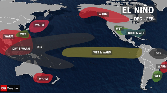 El Nino cũng ảnh hưởng đến chu trình sống của động và thực vật. Sự thay đổi nhiệt độ và lượng mưa không thể đoán trước là những yếu tố quan trọng trong việc tạo ra một môi trường thuận lợi cho sự phát triển và lây lan của các loại virus.
