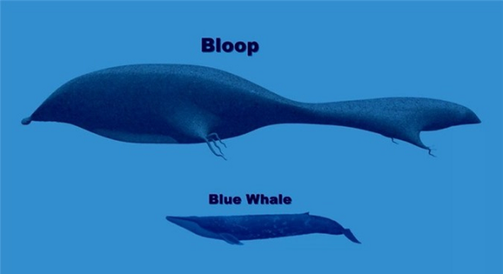 Vốn dĩ “The Bloop” gây nhiều tranh cãi đến vậy bởi tần số mà nó được ghi nhận lớn hơn nhiều so với bất cứ tiếng ồn do động vật biển nào gây ra. Tiếng động này có thể truyền đi với một khoảng cách lên tới 5.000km!