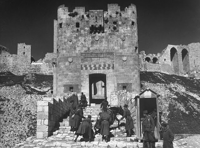 Các binh sỹ đang thúc con la bước lên bậc thang của thành lũy ở Aleppo.