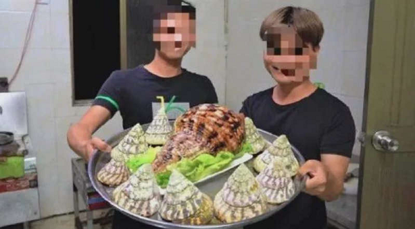 Một vlogger 35 tuổi họ Zou đến từ Trường Giang, Hải Nam đã bị bắt giữ sau khi quay và tải lên mạng xã hội Sina Weibo video ghi lại cảnh ăn ốc tù và khổng lồ.