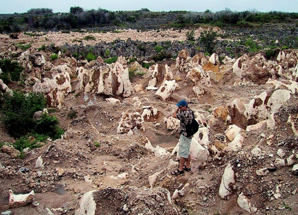 Nền kinh tế của Nauru phát triển đạt đỉnh vào năm 1975 nhờ doanh thu từ khai thác phốt phát, khi đó GDP bình quân đầu người của hòn đảo này ước tính khoảng 50.000 USD, đứng thứ 2 thế giới.