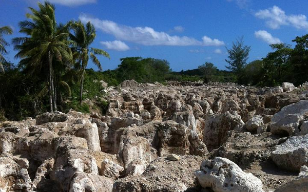 Tại Nauru, du khách sẽ chẳng có gì để thăm quan bởi hòn đảo này chỉ có 30 km đường, không có bảo tàng, di sản văn hóa, khách sạn hay thậm chí là sông ngòi, đồi núi để thám hiểm. Hàng năm chỉ có khoảng 200 du khách đến Nauru và chủ yếu là các nhà hoạt động xã hội hay những chuyên gia nghiên cứu khoa học.