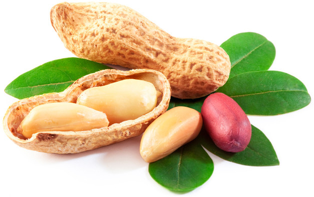 Ngăn ngừa rụng tóc. Lạc chứa Vitamin C giúp hỗ trợ quá trình sản xuất collagen, giúp các mô của tóc gắn kết với nhau. Ngoài ra, lạc còn chứa chất I-arginine giúp tăng cường nang lông và thúc đẩy tóc dài. Ảnh Foodimentary