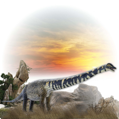 Nhóm nghiên cứu đã sử dụng công nghệ 3D để tạo ra mô hình bộ xương của Australotitan và so sánh nó với các loài khủng long khác như Diamantinasaurus, Savannasaurus và Wintonotitan. Kết quả cho thấy Australotitan có quan hệ mật thiết với ba loài này, nhưng có kích thước lớn hơn đáng kể. (Ảnh: Natureworks Australia)