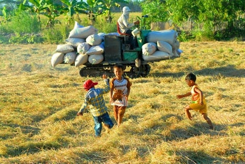 Một cậu nhóc phố thị quậy phá trên cánh đồng cùng với những người bạn mới quen. Ảnh: Ohay.