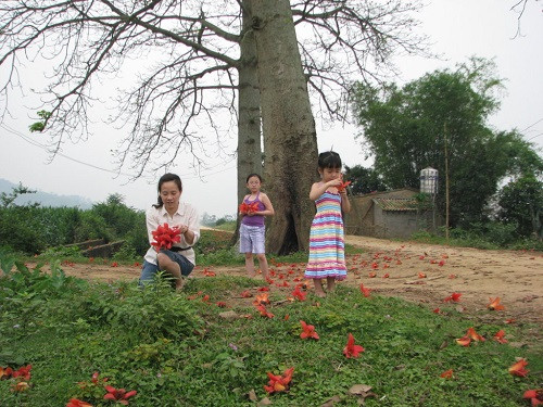 Ngay cả những thứ bình dị và đơn giản nhất như những bông hoa gạo cũng thu hút được sự chú ý của các bé. Ảnh: Tienphong.