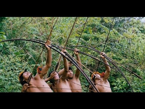 Hoặc là sử dụng cung tên. Mặc dù vậy, phương pháp săn bắt cổ xưa này lại tỏ ra hết sức hiệu quả. Ảnh: YouTube.