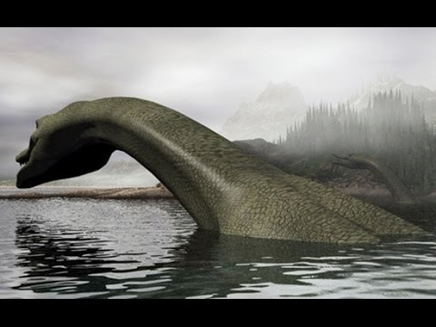Tuy nhiên, nhiều người vẫn chưa bỏ cuộc và hàng năm, người ta vẫn mục kích hồ Loch Ness để mong một lần nữa được nhìn thấy con vật huyền thoại này.