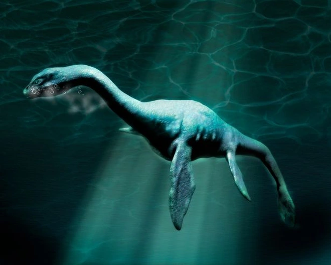 Nessie tin rằng đó là một vị trí mà đáy hồ dốc xuống, với mực nước sâu khoảng 450 feet trong khu vực.