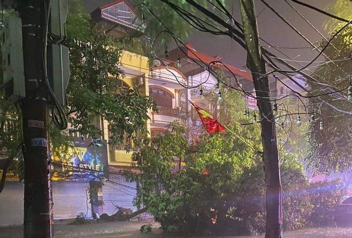 ...nằm la liệt trên đường. Ảnh: CTV