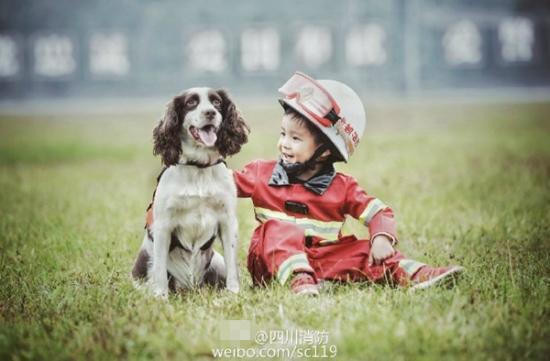 Thú vị nhất vẫn là khoảng thời gian Cola chơi đùa cùng với những chú chó cứu hộ của lực lượng cứu hỏa. Ảnh: Weibo.