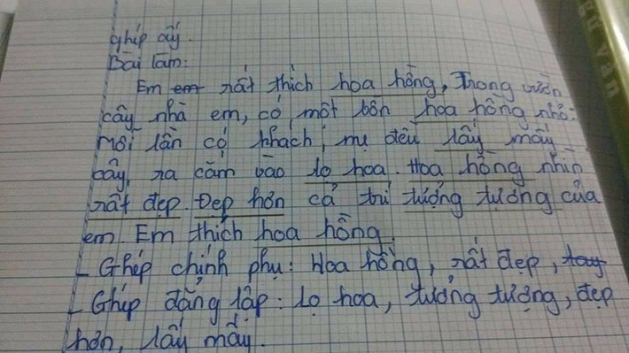 Cách vận dụng từ ghép chính phụ và từ ghép đẳng lập đầy ngô nghê của một học sinh cấp 1. Ảnh: Fb/f17.