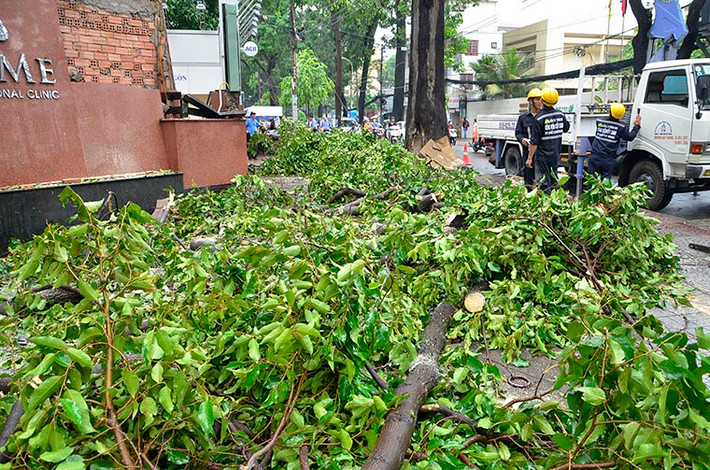 Khoảng 15h chiều 4/9, cơn mưa lớn kéo dài kèm theo giông lốc ở TP HCM khiến hàng loạt cây xanh bật gốc, gãy đổ. Nhiều cây ngã xuống đè lên hàng loạt phương tiện và người tham gia giao thông khiến 5 người bị thương.