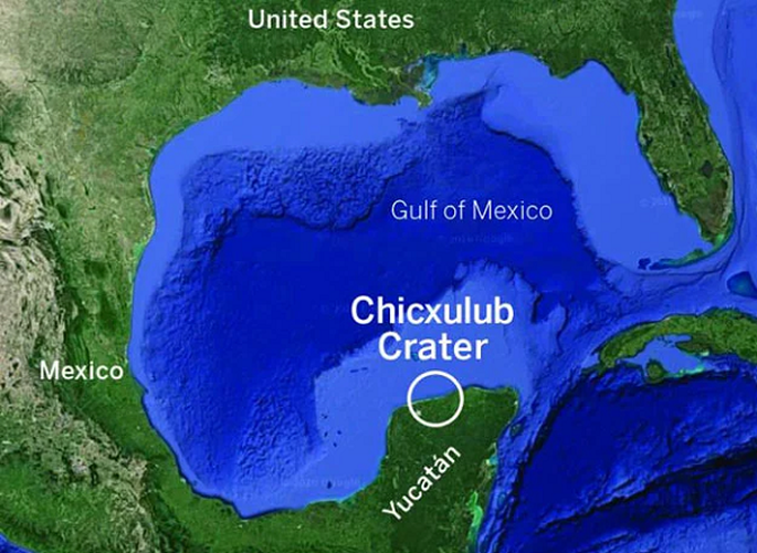 Nghiên cứu từ Đại học Texas ở Austin (Mỹ) cho thấy sự sống Trái đất thời kỳ tuyệt chủng 66 triệu năm về trước không bị hủy hoại bởi núi lửa, sóng thần hay một thảm họa toàn cầu nào khác.