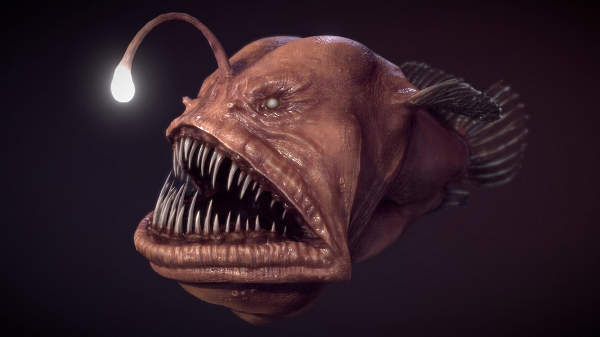 Cá lồng đèn có tên khoa học là Ceratioid Anglerfish, lần đầu được các nhà khoa học tìm thấy, mô tả và phân loại vào những năm 1830 của thế kỷ 19.