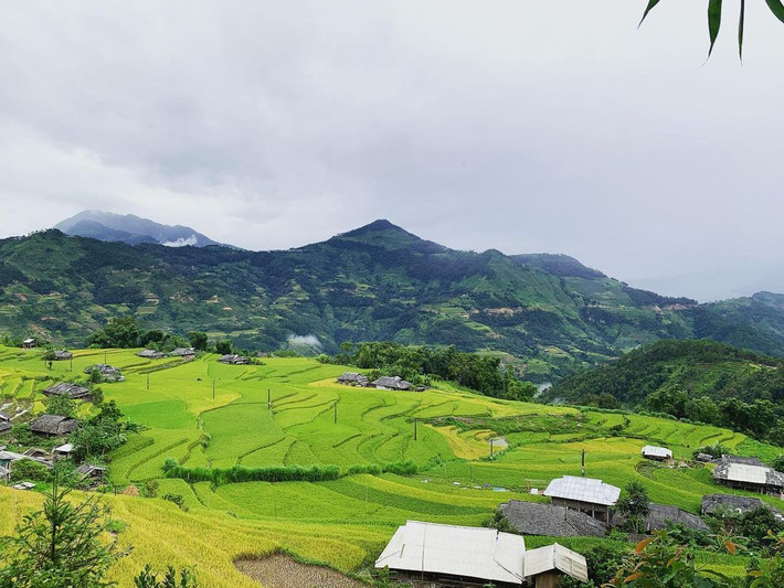 Hoàng Su Phì là một huyện vùng cao nằm phía tây Hà Giang, nơi đây là địa điểm nằm trong top ngắm mùa lúa chín tại Hà Giang. Ảnh: instagram: lethingoctu2012