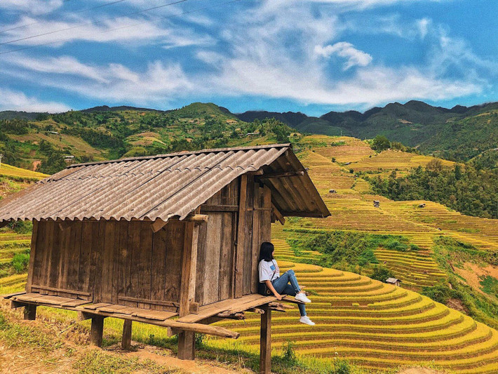 Đến với Hà Giang mùa lúa chín, du khách sẽ được chiêm ngưỡng toàn bộ vẻ đẹp của những cánh ruộng bậc thang nối sát nhau vô cùng đẹp mắt. Ảnh: Lại Tiến Mạnh