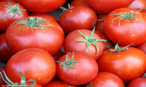 Cà chua là nguồn cung cấp lycopene, một chất dinh dưỡng thực vật được chứng minh là có khả năng chống ung thư tuyến tiền liệt, tăng cường khả năng nghe. Cà chua đem đến nhiều lợi ích sức khỏe hơn khi được nấu chín, làm tăng và tập trung hàm lượng lycopene trong trái hơn.