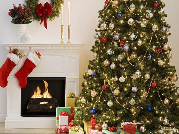 Cây thông Noel được trồng tự nhiên có thể tạo cho mình một hệ sinh thái riêng, cung cấp môi trường sống cho động vật hoang dã và còn góp phần không nhỏ vào quá trình thụ phấn ở thực vật. Một cây thông Giáng sinh trung bình chứa khoảng 30.000 con bọ và côn trùng.